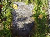 image of grave number 905182